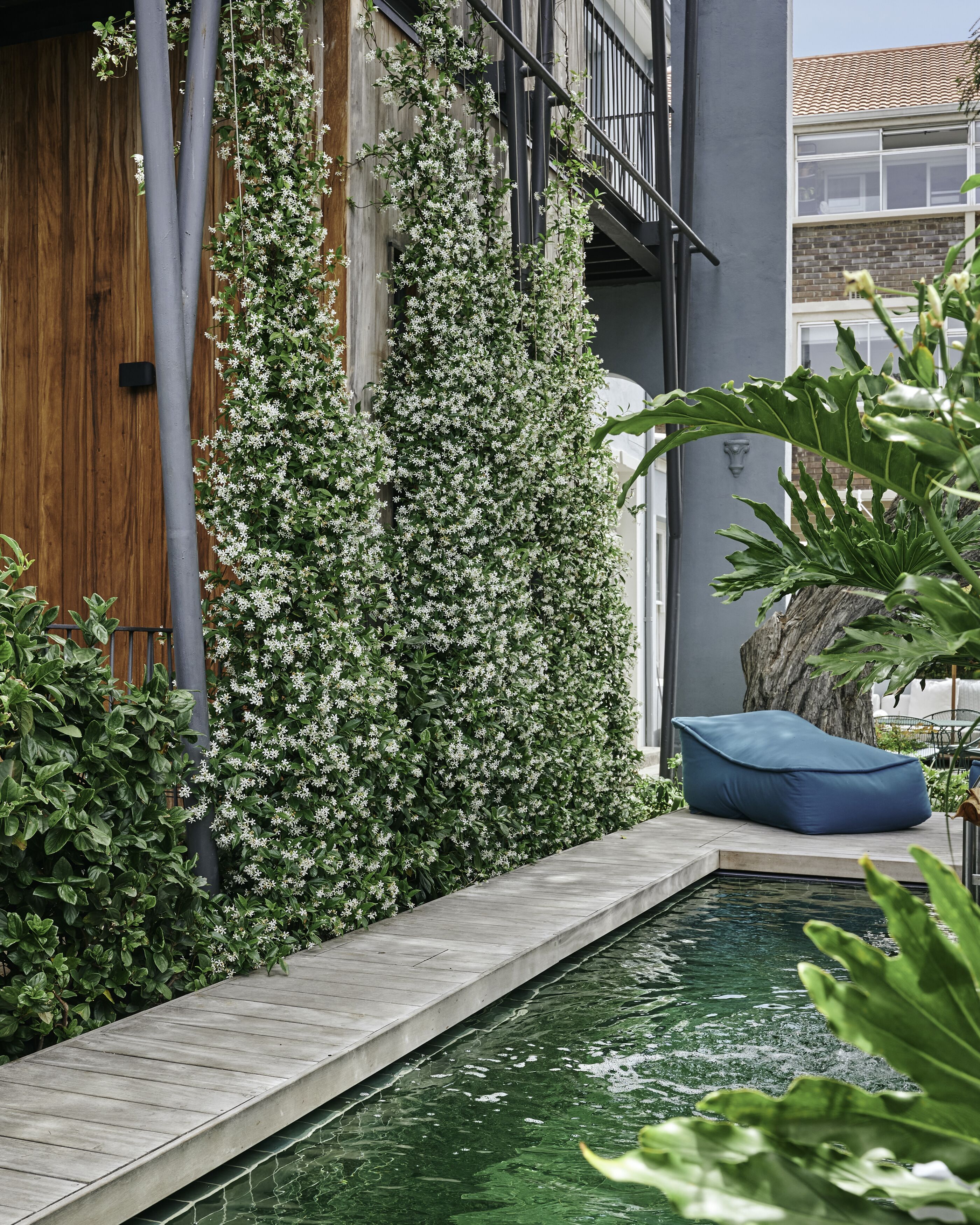 Hồ bơi ngoài trời 