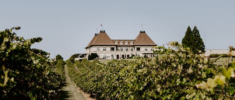 Weingut