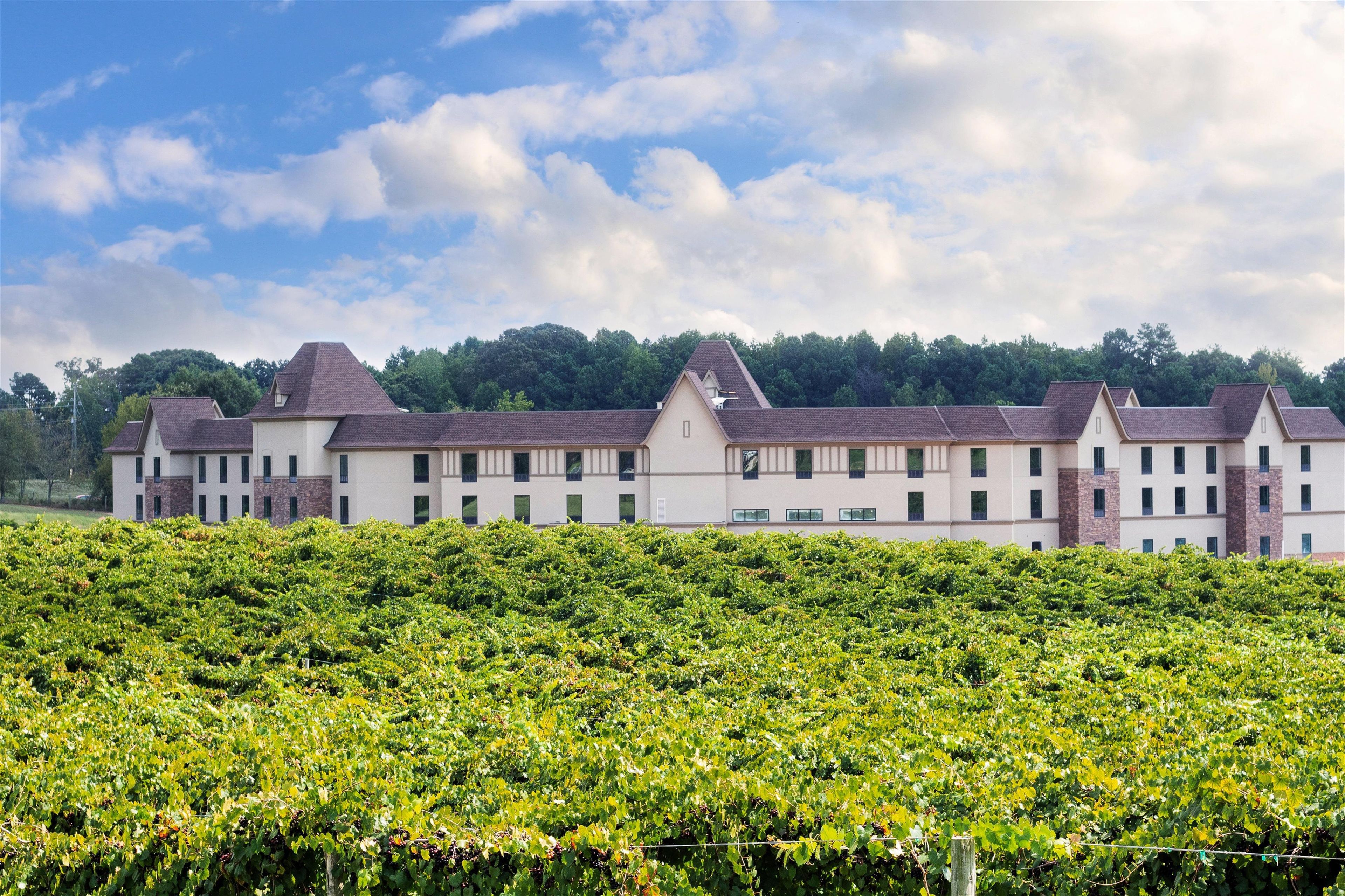 A large building with multiple windows and a flat roof, surrounded by a vineyard.