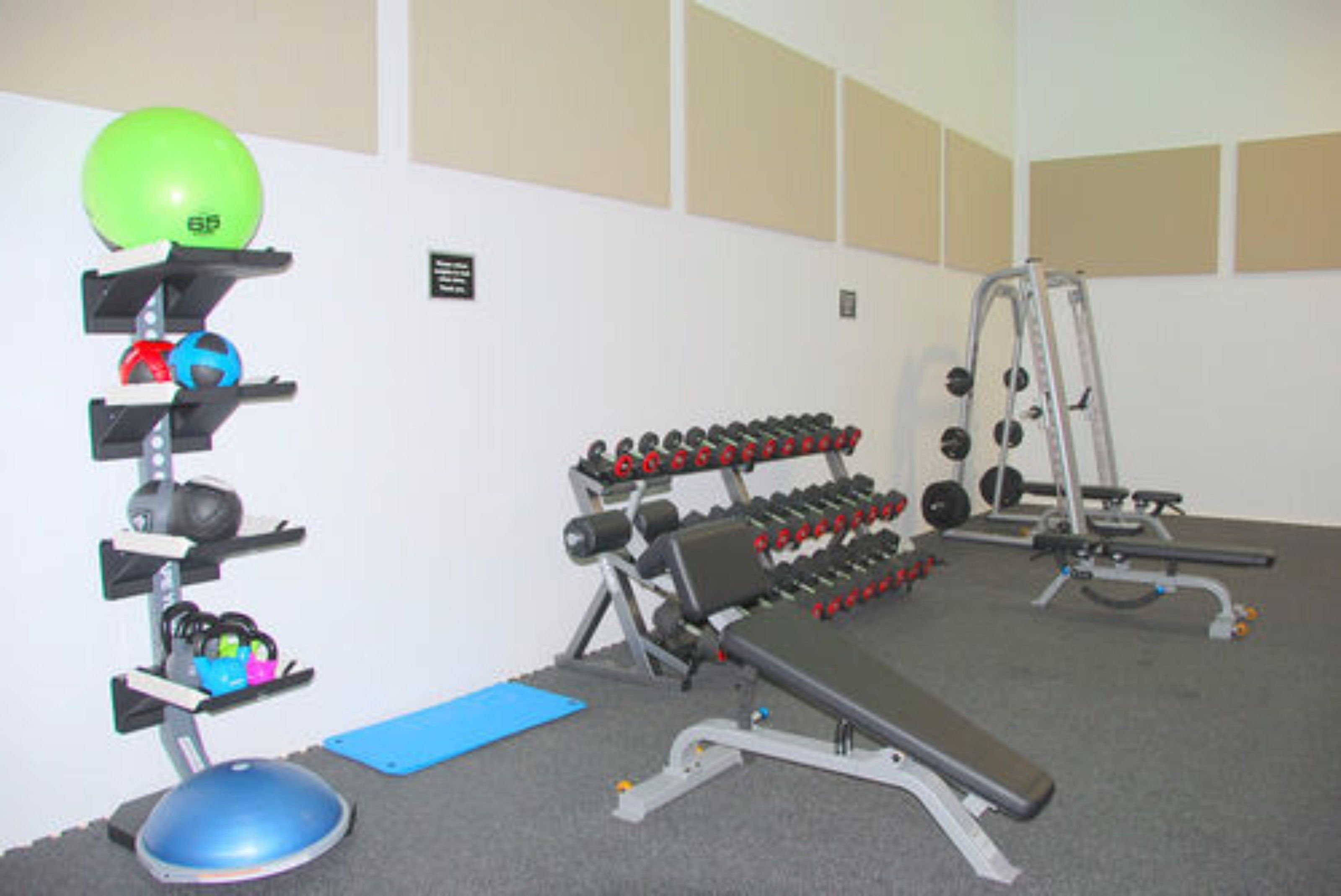 A gym with weightlifting equipment, a blue mat, and a green exercise ball.