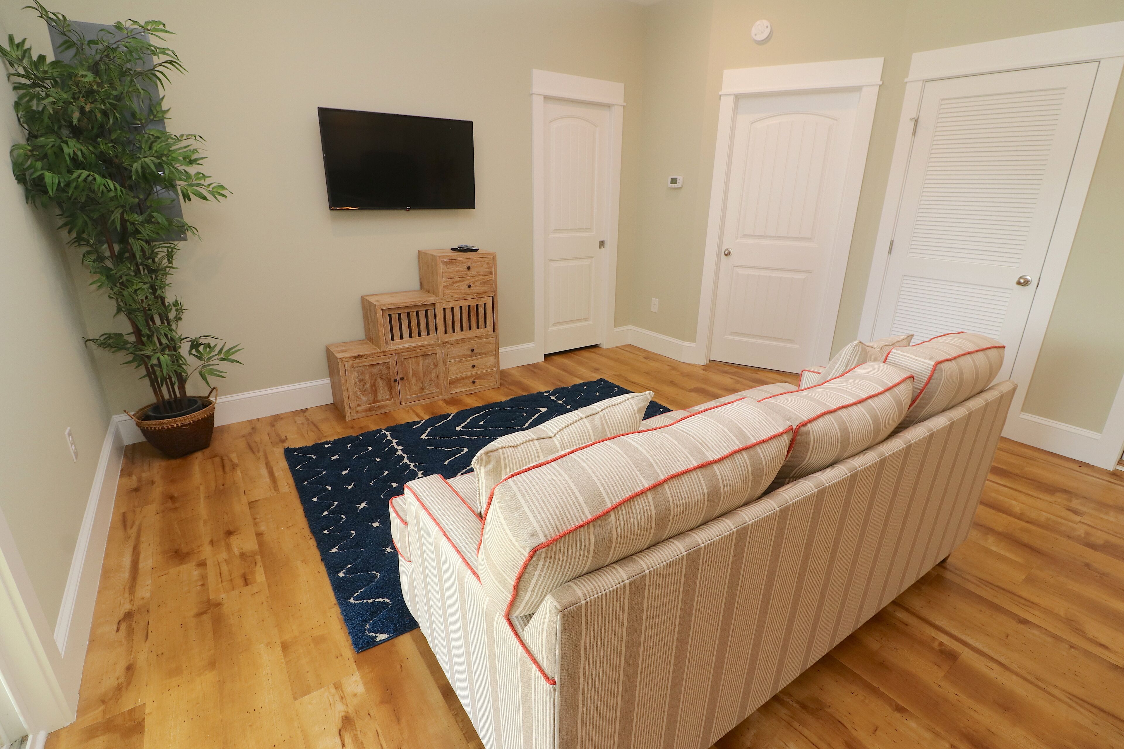 A living room with a sofa, a potted plant, a flat-screen TV, wooden storage cubes, and a blue rug.