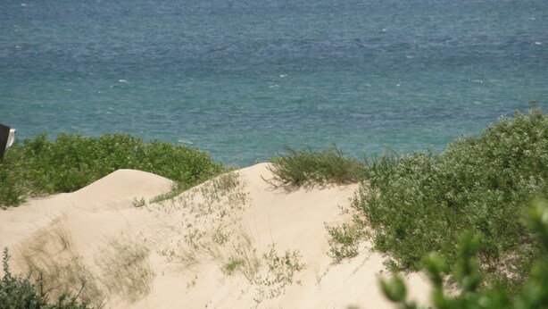A coastal landscape with sand dunes and vegetation in the foreground, leading to a calm sea under a clear sky. - Bluewater Beach Accommodation (Gqeberha (Port Elizabeth))