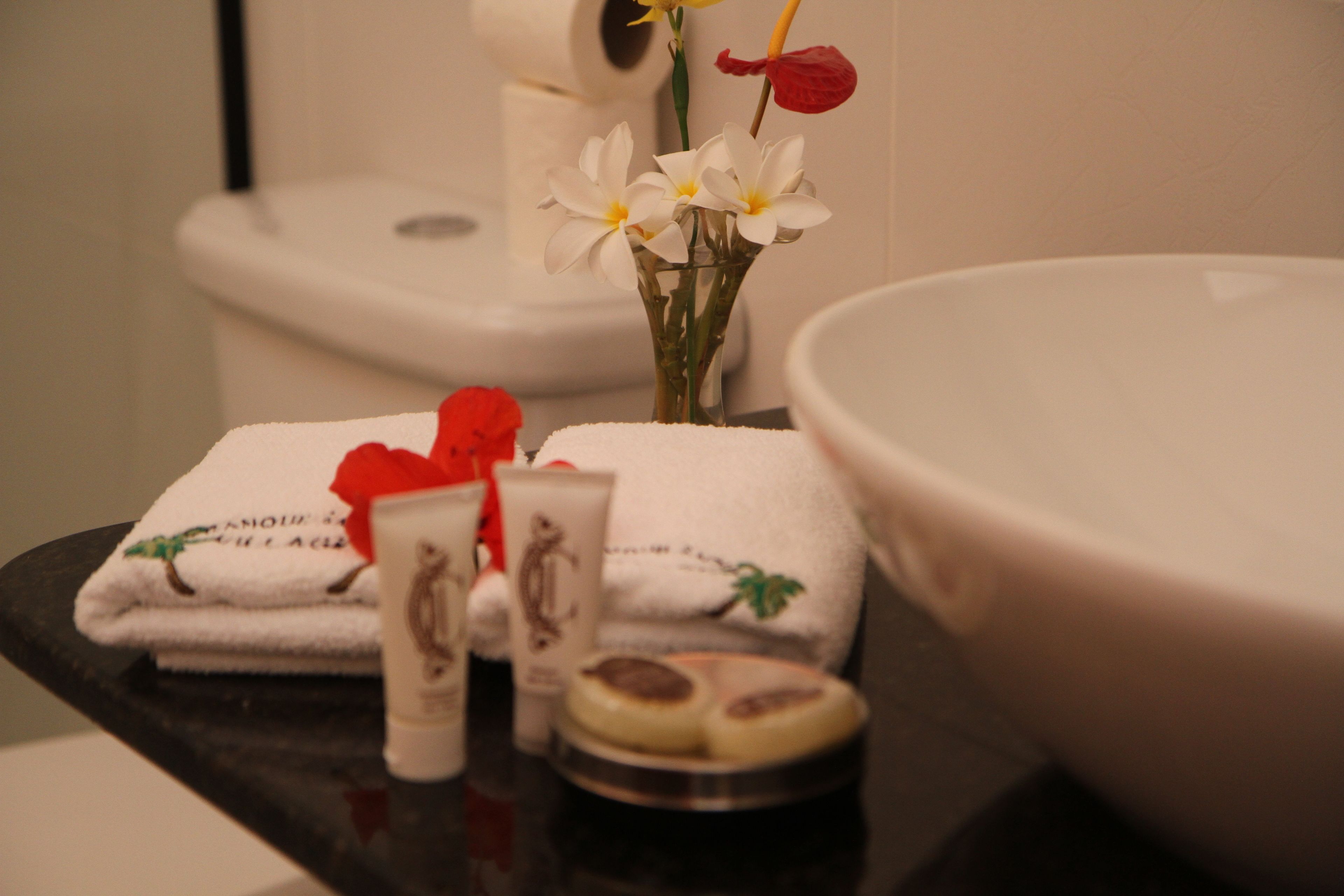 superior apartment, ocean view | view from room