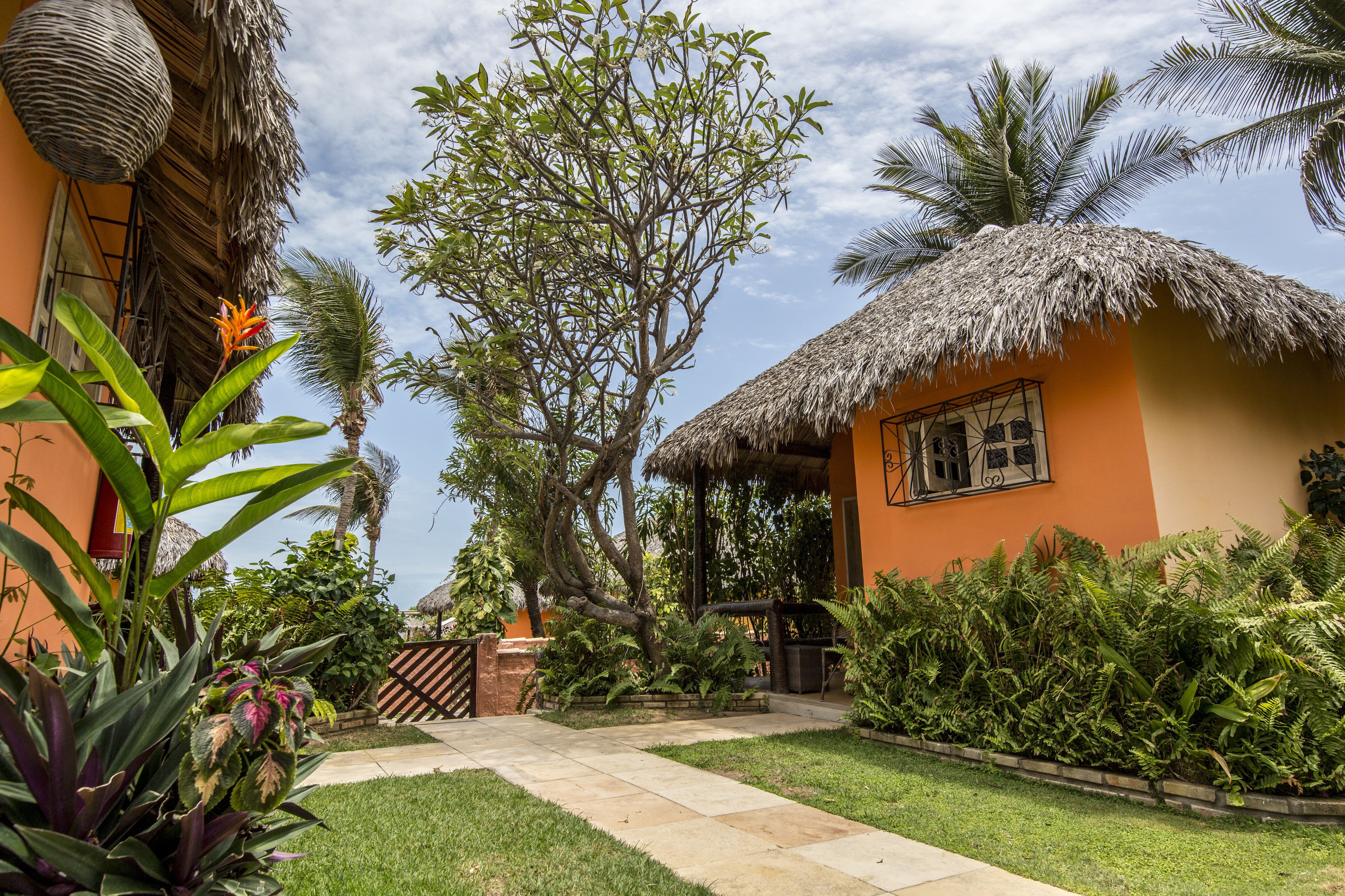 Um jardim tropical com uma estrutura de palha, muita vegetação exuberante e céu claro.