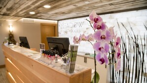 Un comptoir d’accueil avec un ordinateur, un vase de fleurs et une enseigne indiquant « MEADOW SPA & DOOLS ».