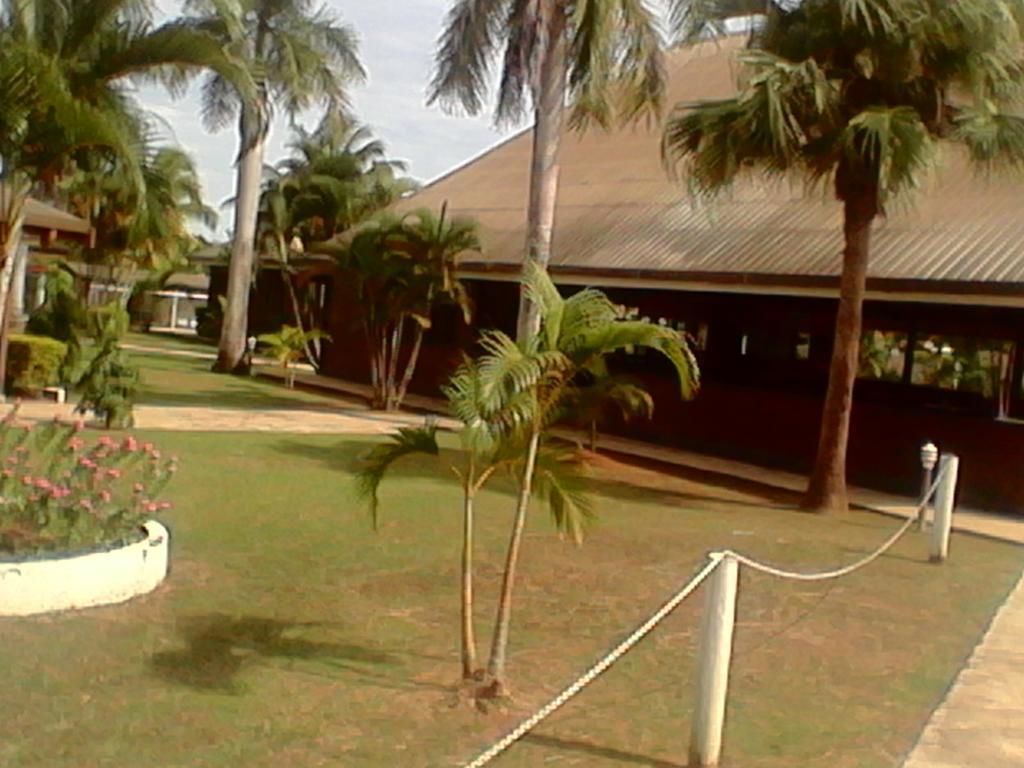 A resort area with palm trees, a fenced garden, and a building with a metal roof.