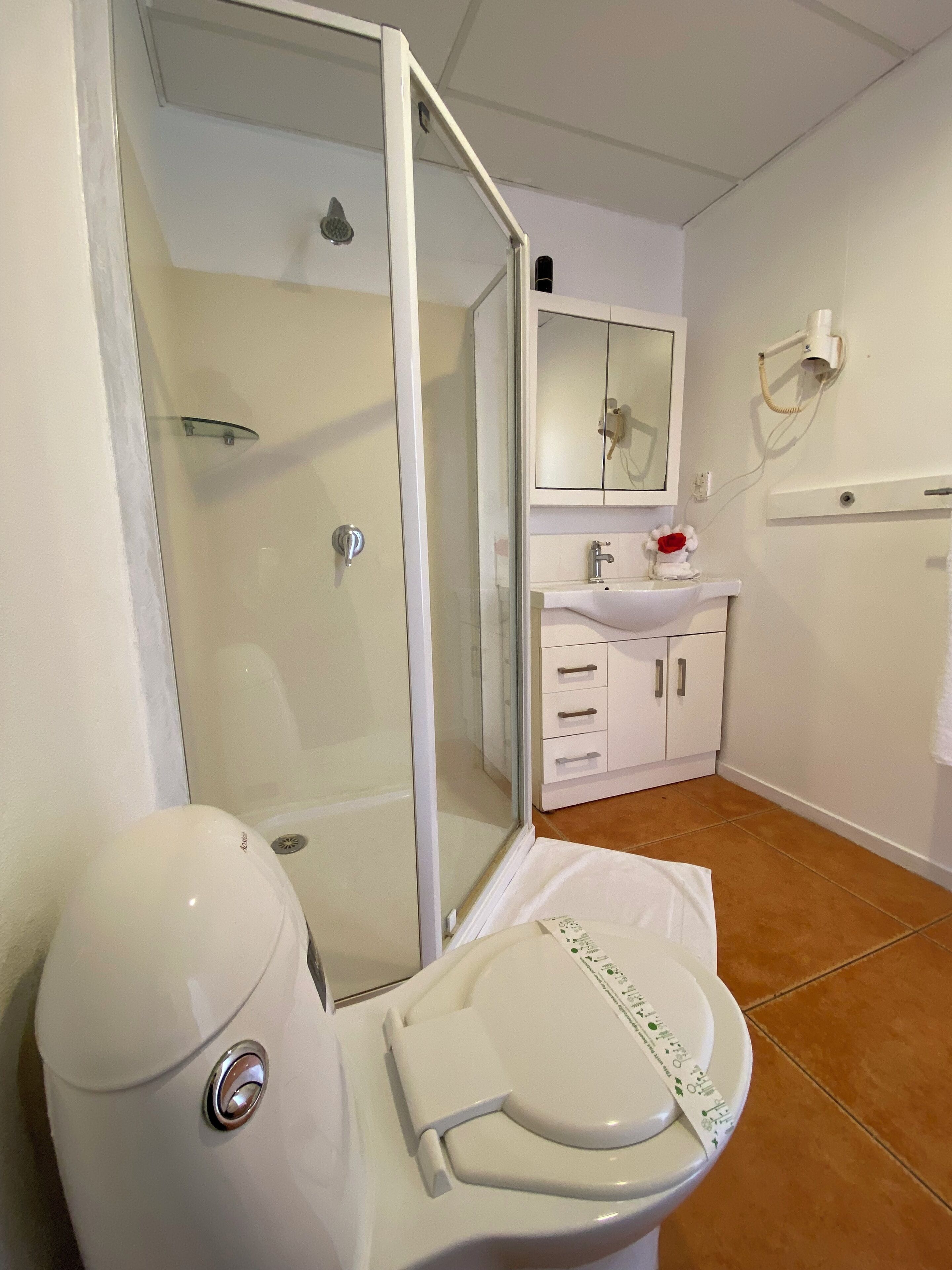 shower, free toiletries, hair dryer, towels