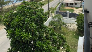 Vista costera con carretera, vegetación y un edificio pequeño.
