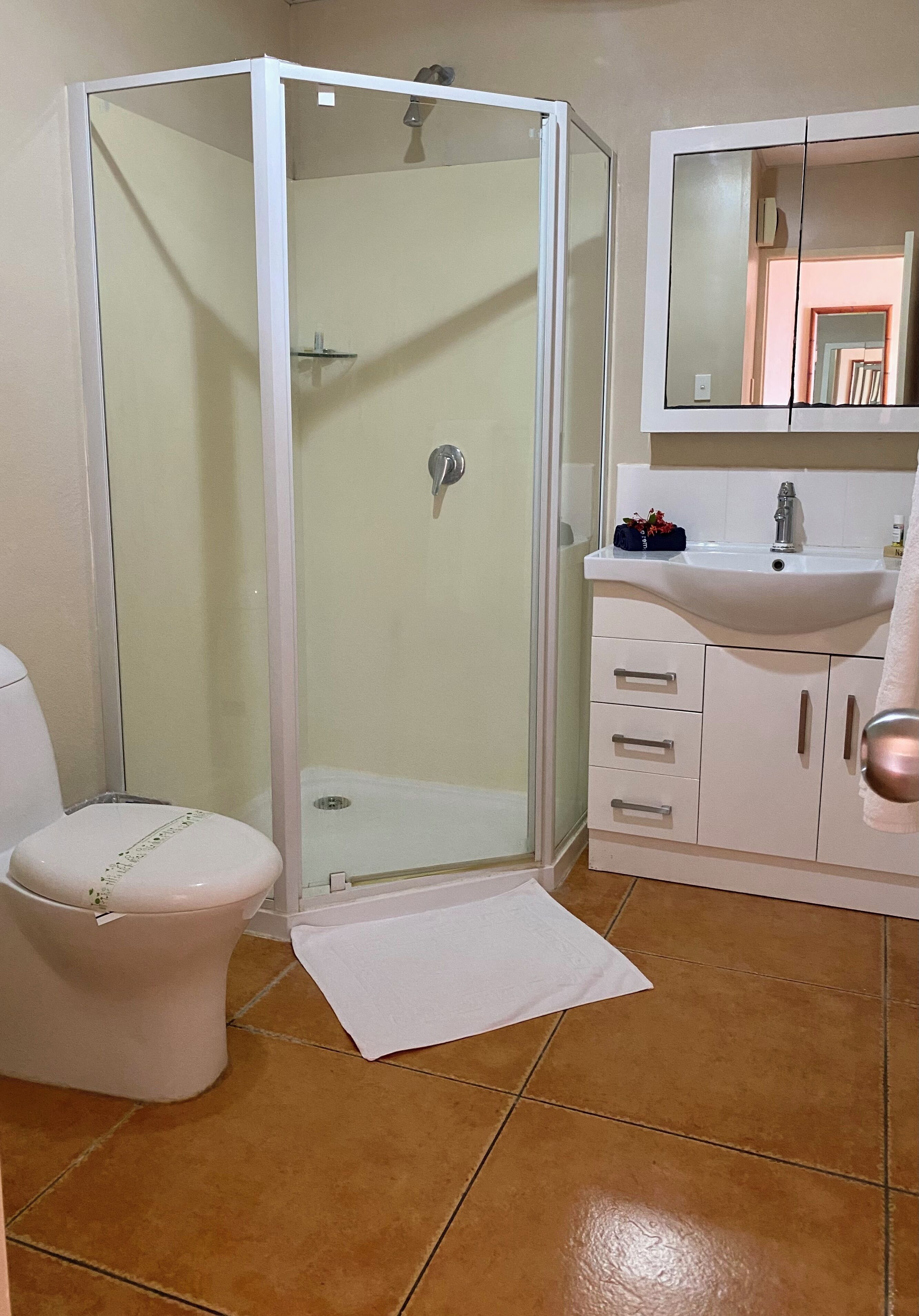 shower, free toiletries, hair dryer, towels