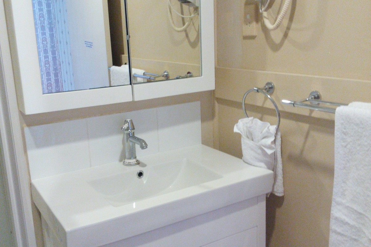 shower, free toiletries, hair dryer, towels