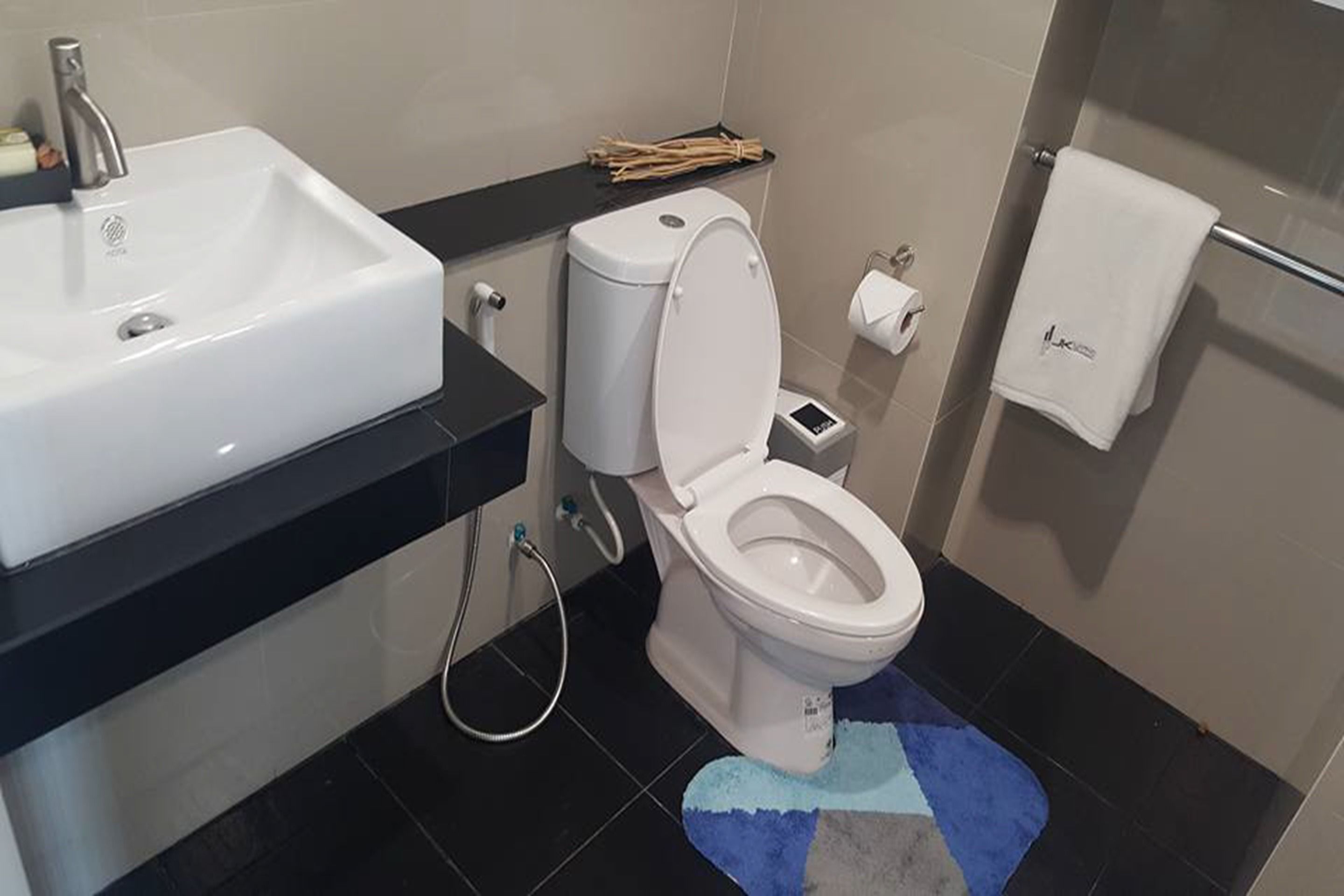 shower, free toiletries, hair dryer, bidet