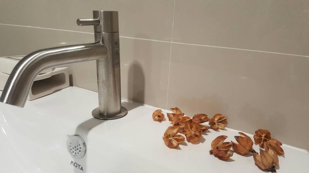 Een wastafel met een moderne kraan en een douchekop.