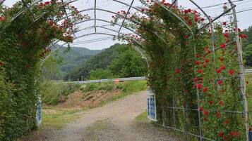 Un sendero de grava que serpentea bajo un arco de metal adornado con flores rojas, en un entorno verde y con un paisaje ondulado.