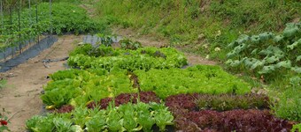 Pension Cafe Yoon & Park