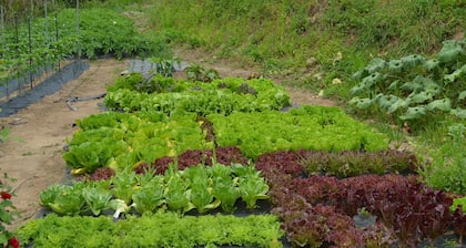 Pension Cafe Yoon & Park