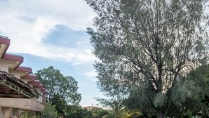 Ein Swimmingpool mit grünlich schimmerndem Wasser, umgeben von einem gepflasterten Weg und einem großen Baum.