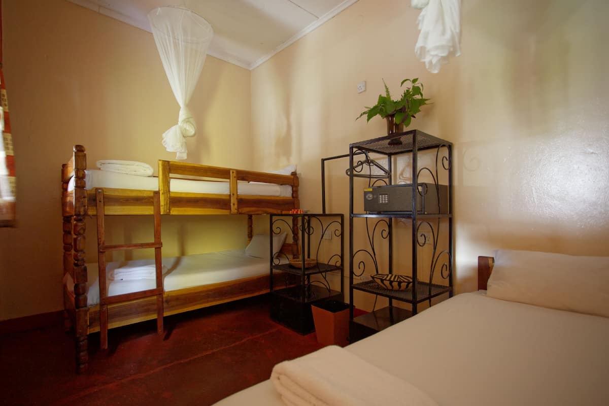 A room with a bunk bed, a single bed, a bedside table with a radio, and a potted plant.