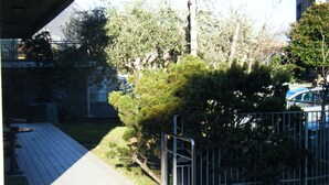 A paved walkway leading to a building entrance, surrounded by trees and a metal fence. - Residence Vezzoli (Darfo Boario Terme)