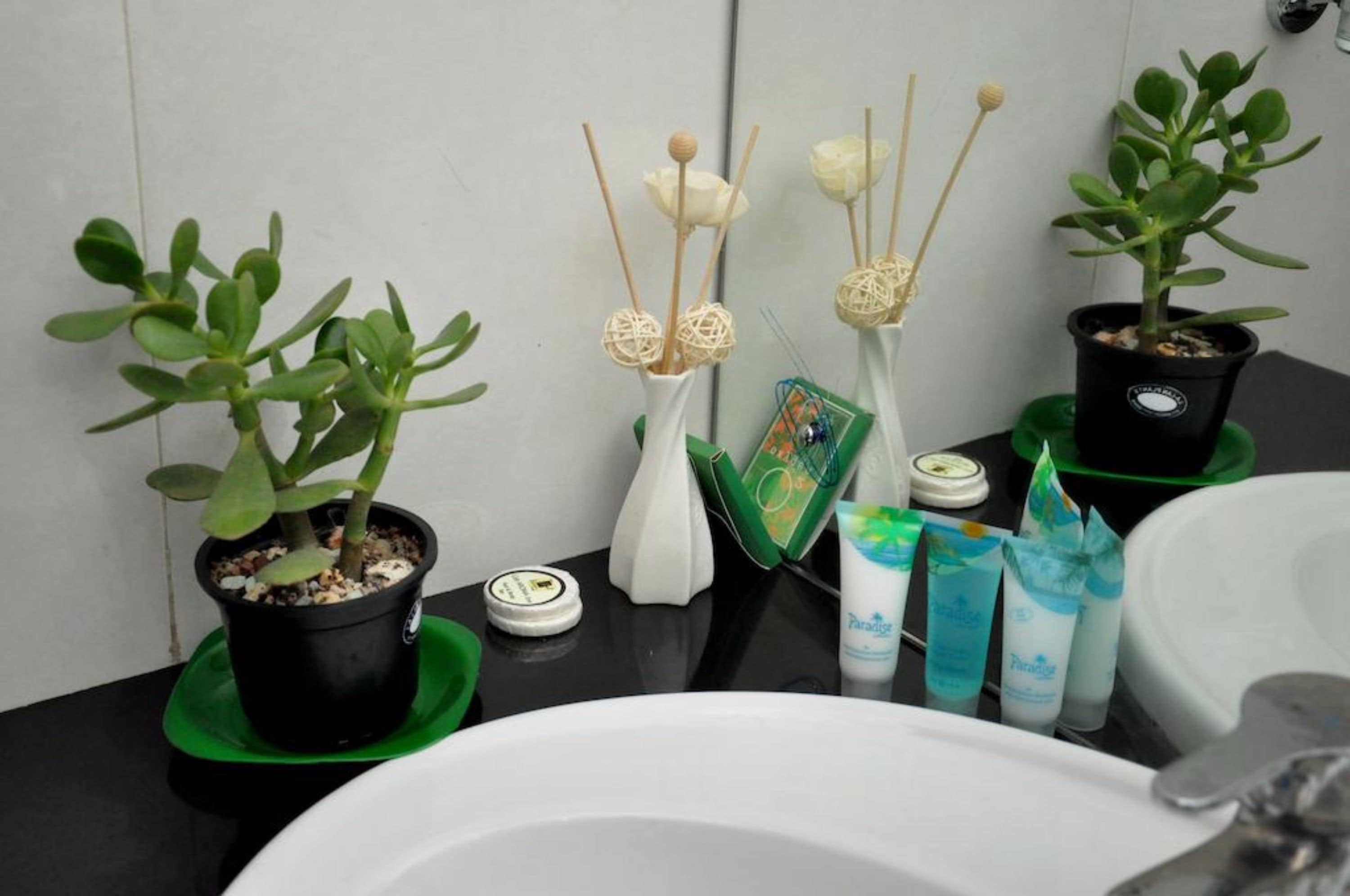 Et badeværelse med en vask, to krukker med planter, et spejl og toiletartikler.