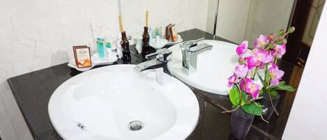 A bathroom with a white sink, a mirror, and a potted orchid.