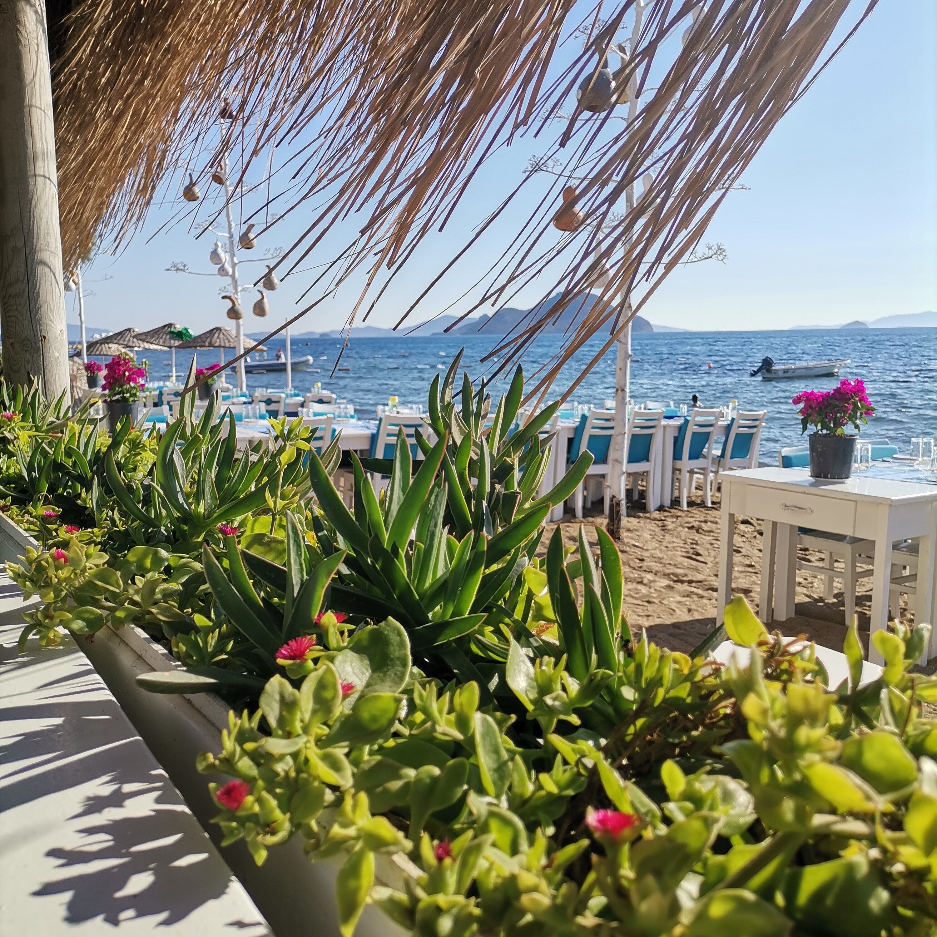 Breakfast, lunch, dinner served; international cuisine 