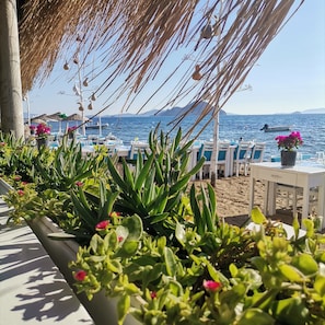 A seaside restaurant with outdoor seating, a view of the sea, and potted plants. - Pitos Bungalows (Bodrum)
