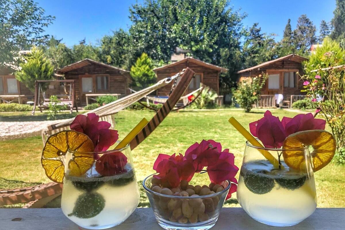 Two drinks with fruit garnishes on a wooden table, with a view of wooden cabins and a grassy area in the background.