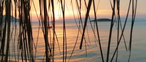 Privat strand, solstolar, parasoller och windsurfing