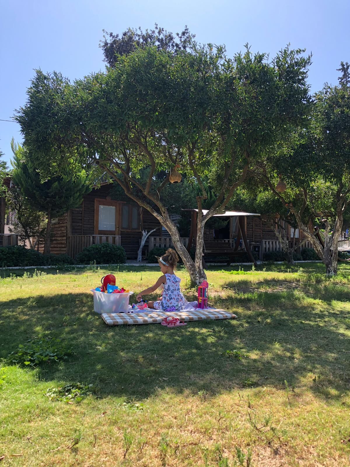 A child playing under a tree in a grassy area with a wooden cabin in the background.