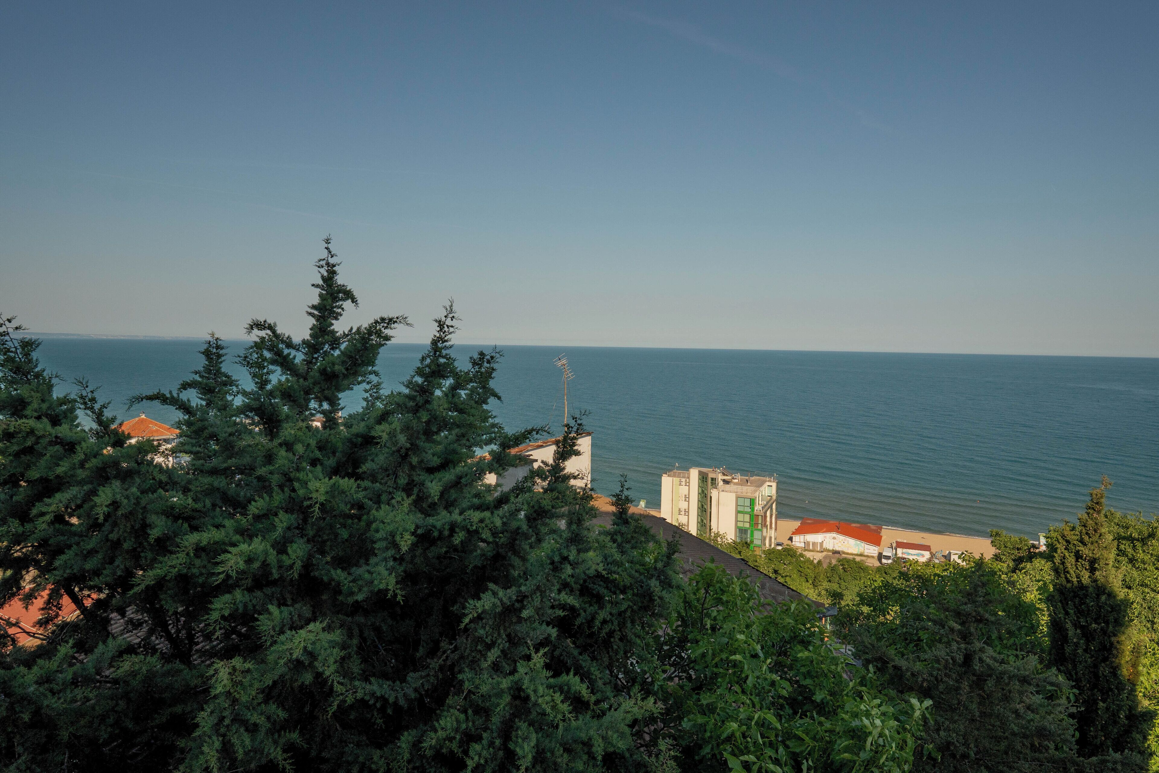 Vista costera con un edificio que domina el mar, rodeado de frondosos árboles verdes.