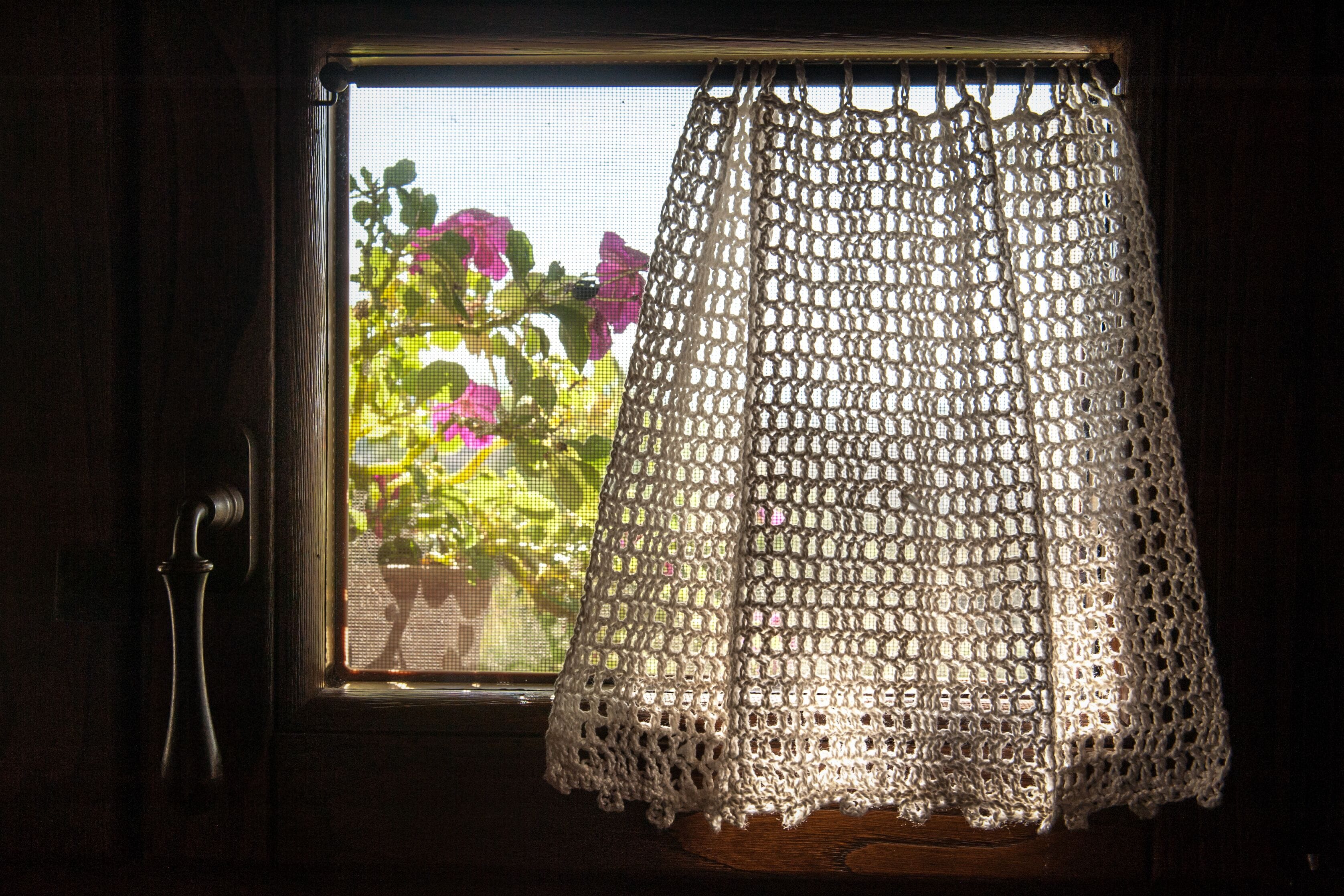 A window with a crocheted curtain and a view of greenery outside.