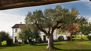 A large tree in front of a building with a white facade and arched windows. - Villa Coralia (Osimo)