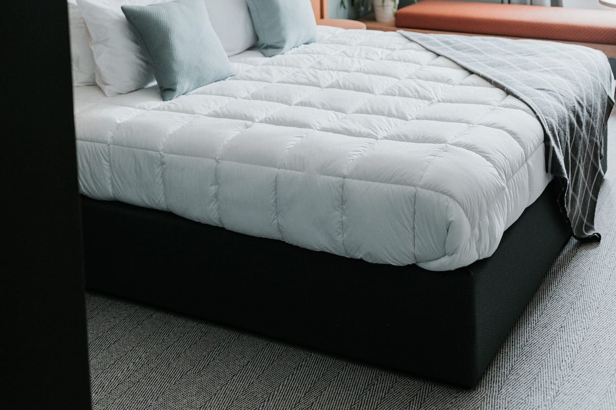 A neatly made bed with a headboard, a bedside table with a lamp, and a potted plant.
