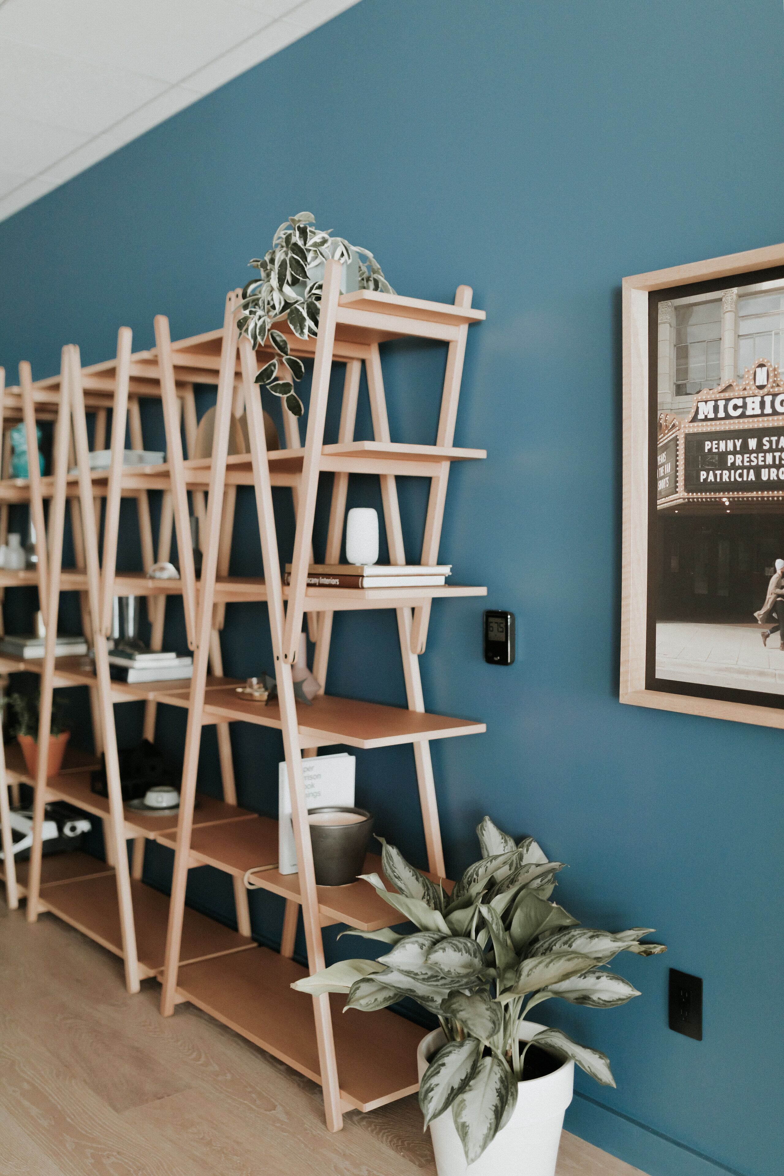 A room with a blue wall, wooden shelving units, and a potted plant.