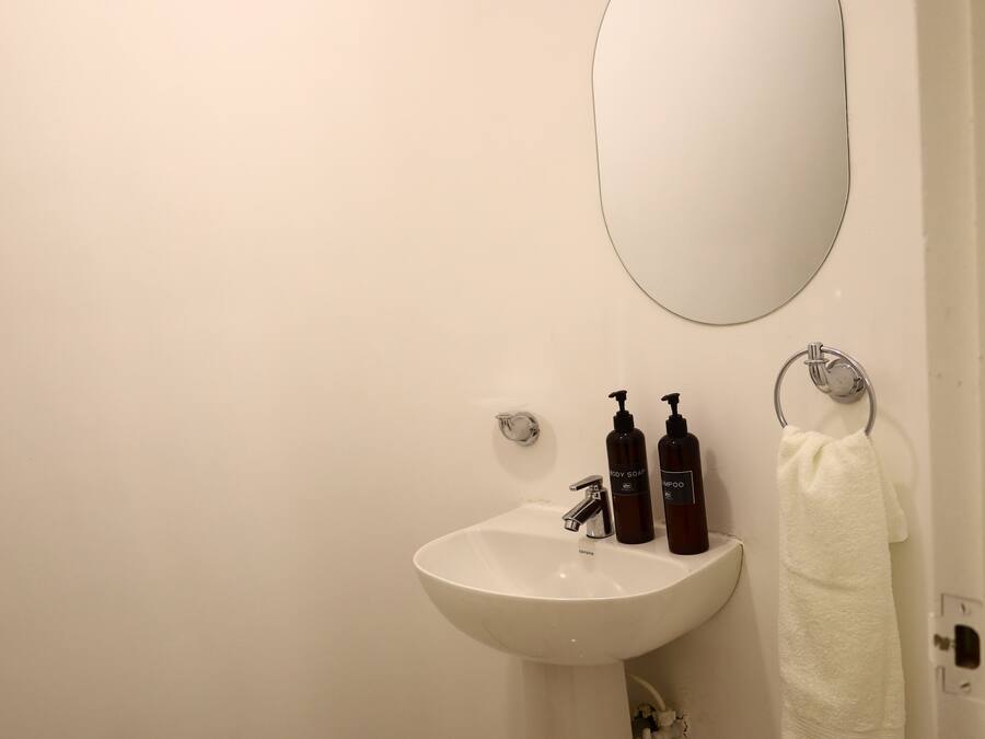 A bathroom with a white sink, two bottles of shampoo, a towel ring, and a mirror.