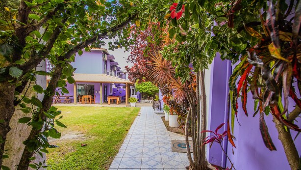 A pathway leading to a building with a tiled floor, surrounded by greenery and a purple wall. - Pousada Santa Ana (Florianópolis)