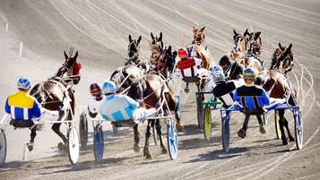 Corrida de cavalos com jóqueis e animais em pista de terra.