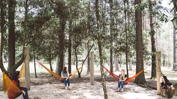 Khuôn viên nơi lưu trú