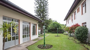 Un patio con un sendero, plantas en macetas y un árbol alto.
