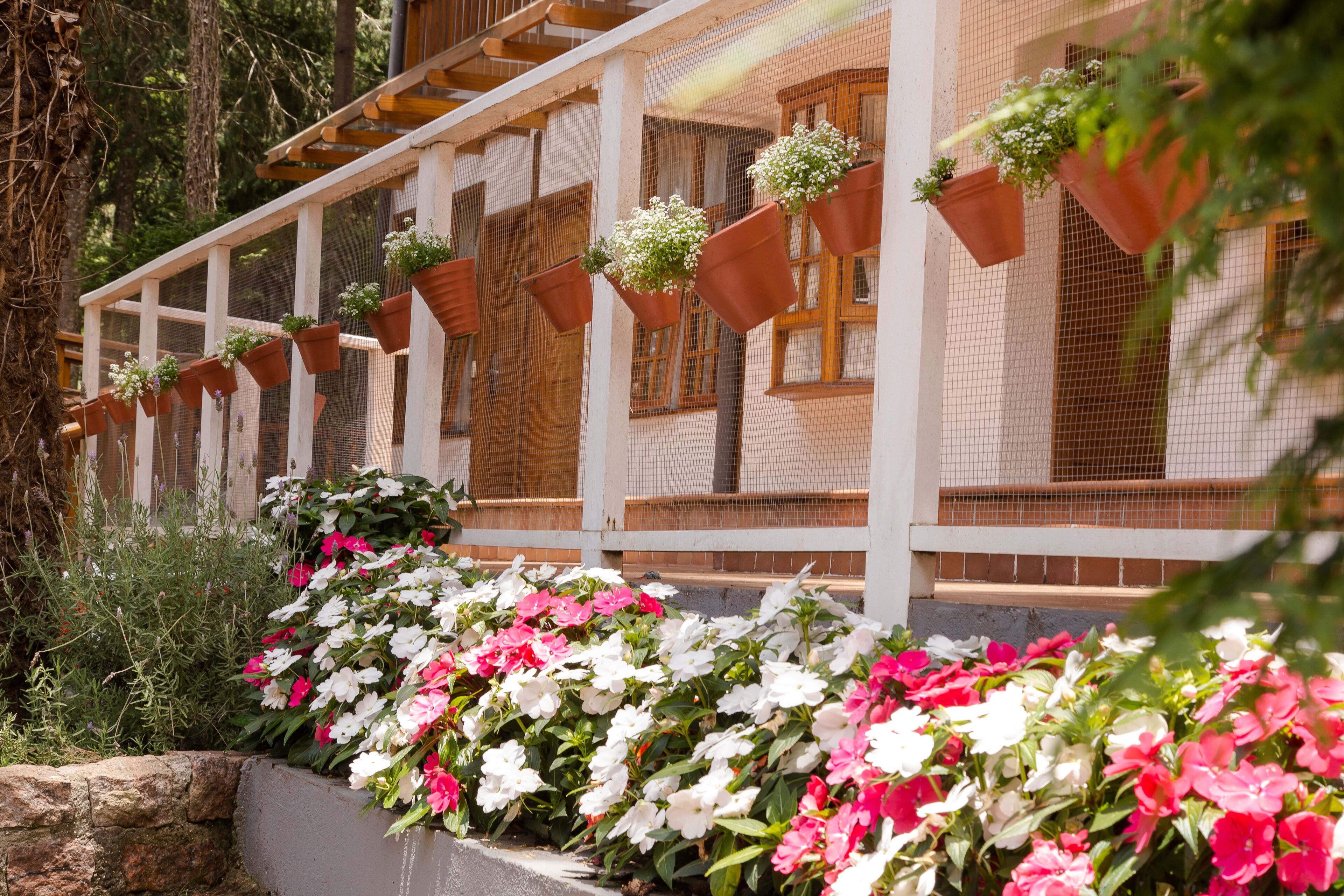 Foto - Pousada Campos dos Holandeses - Campos do Jordao