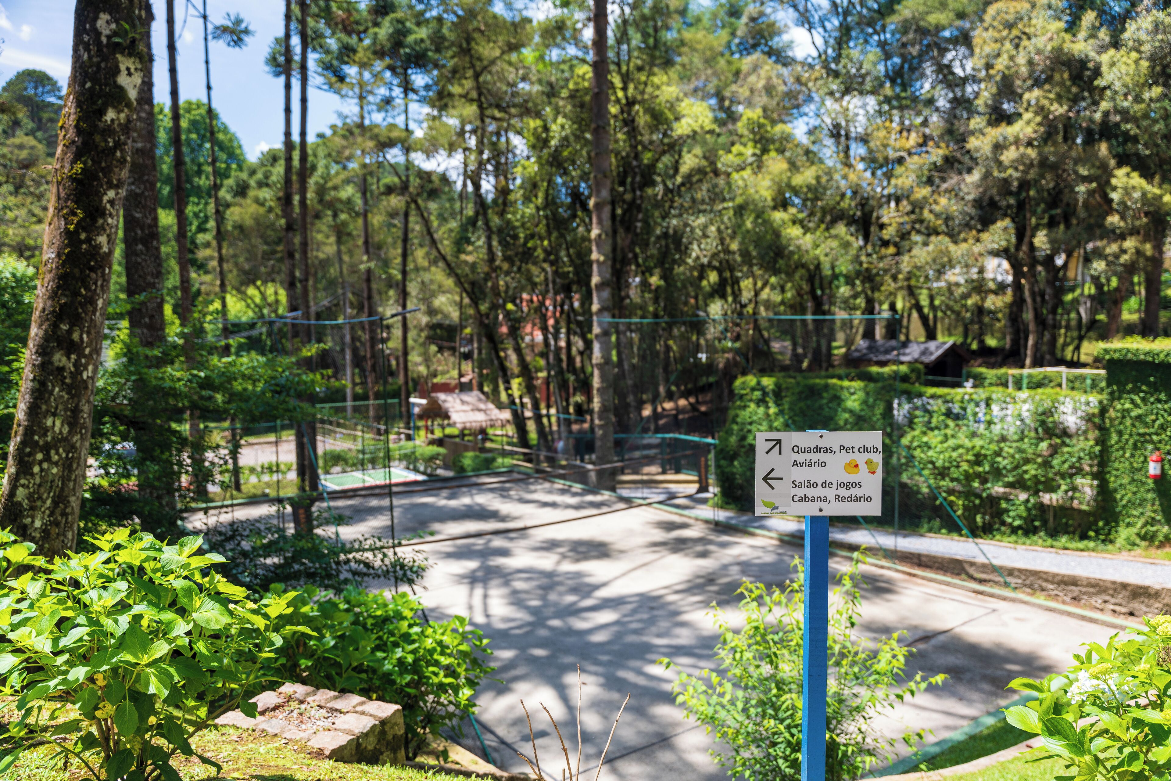 Foto - Pousada Campos dos Holandeses - Campos do Jordao