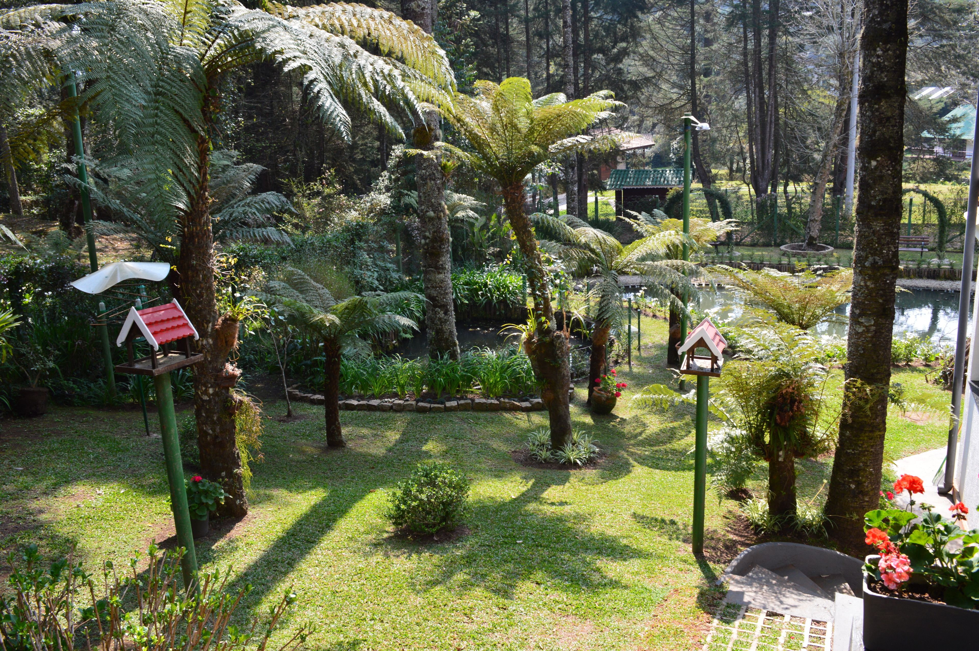 A lush garden with various plants and trees, a small pond, and bird feeders.
