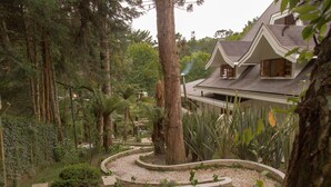 Ein Haus, umgeben von einem Garten mit Kiesweg, Bäumen und verschiedenen Pflanzen.