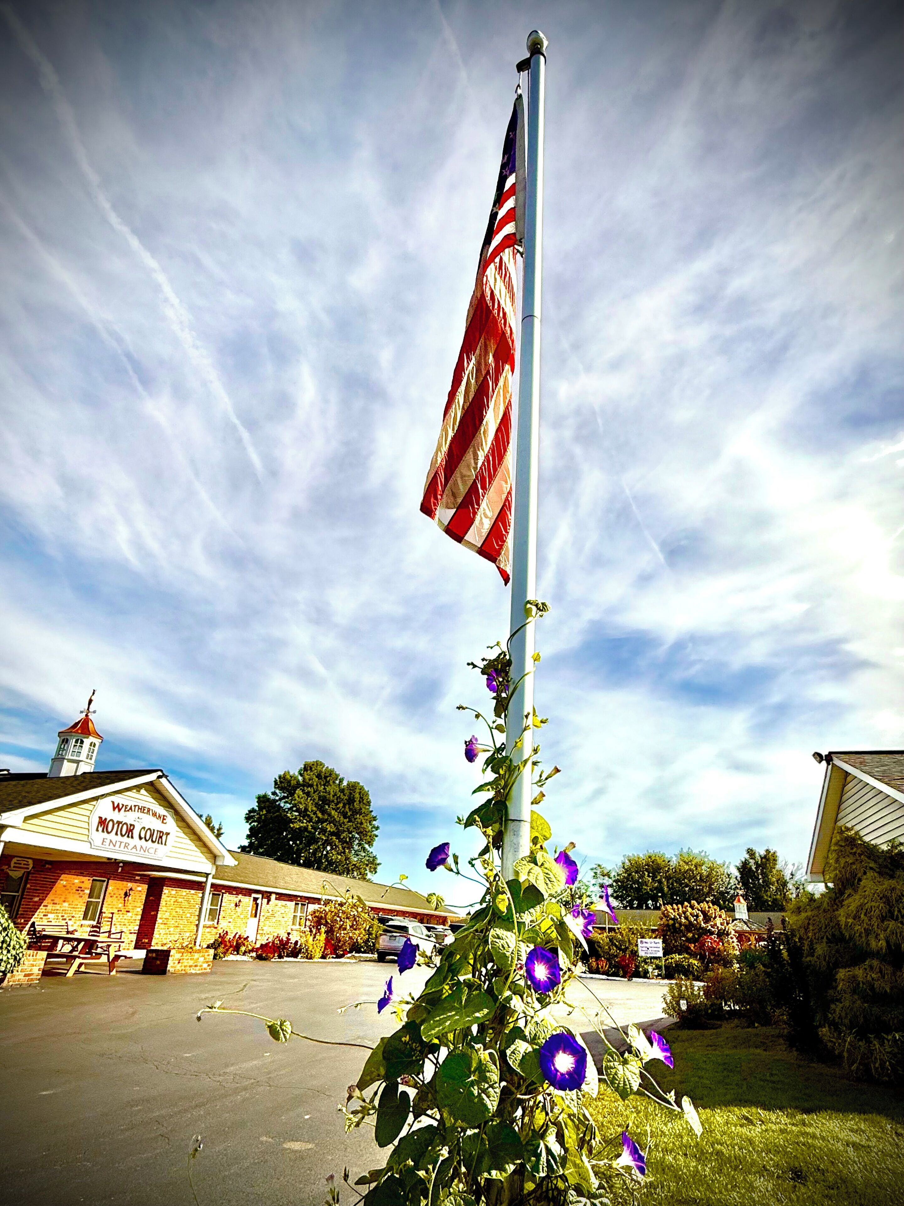 An American flag on a flagpole, a building with a sign reading 'Weatherine Motor Court Entrance,' and purple flowers in the foreground.