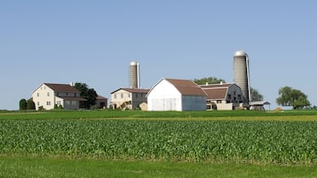 Blick von der Unterkunft