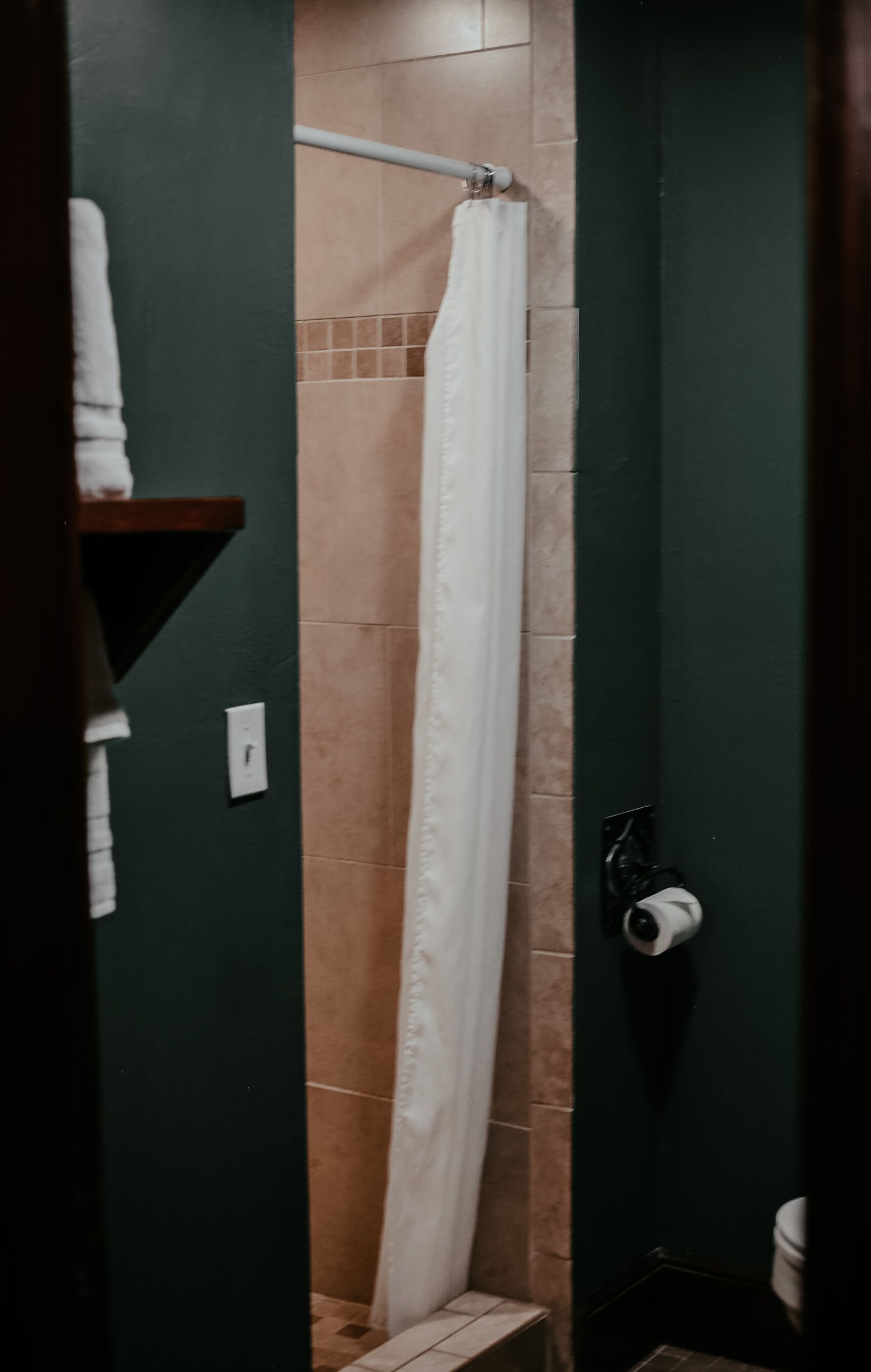 Un baño con ducha, un perchero para toallas y un dispensador de papel higiénico.