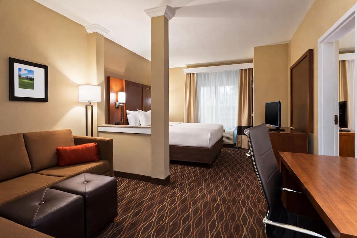 A hotel room with a bed, a sofa, a desk, a TV, and a mirror.