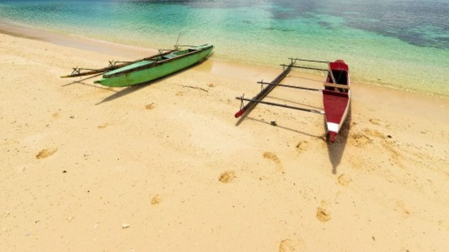 Driftwood Resort