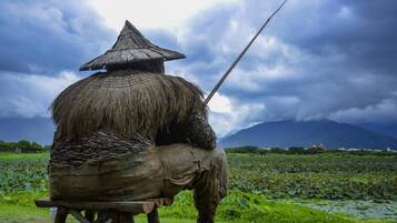 A person sitting on a wooden bench with a thatched roof, overlooking a body of water with lotus plants and a mountain in the background.