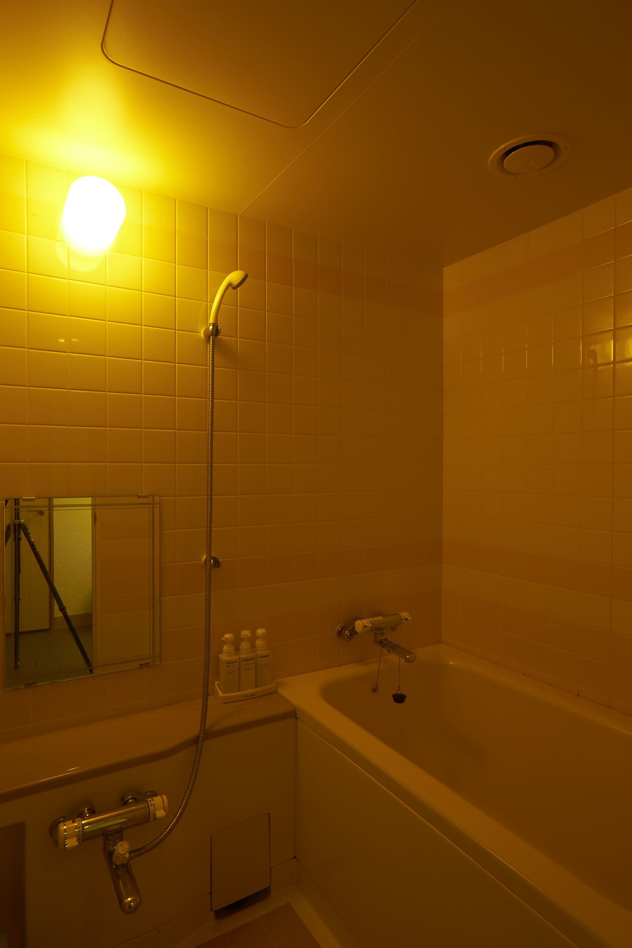japanese style room | bathroom shower